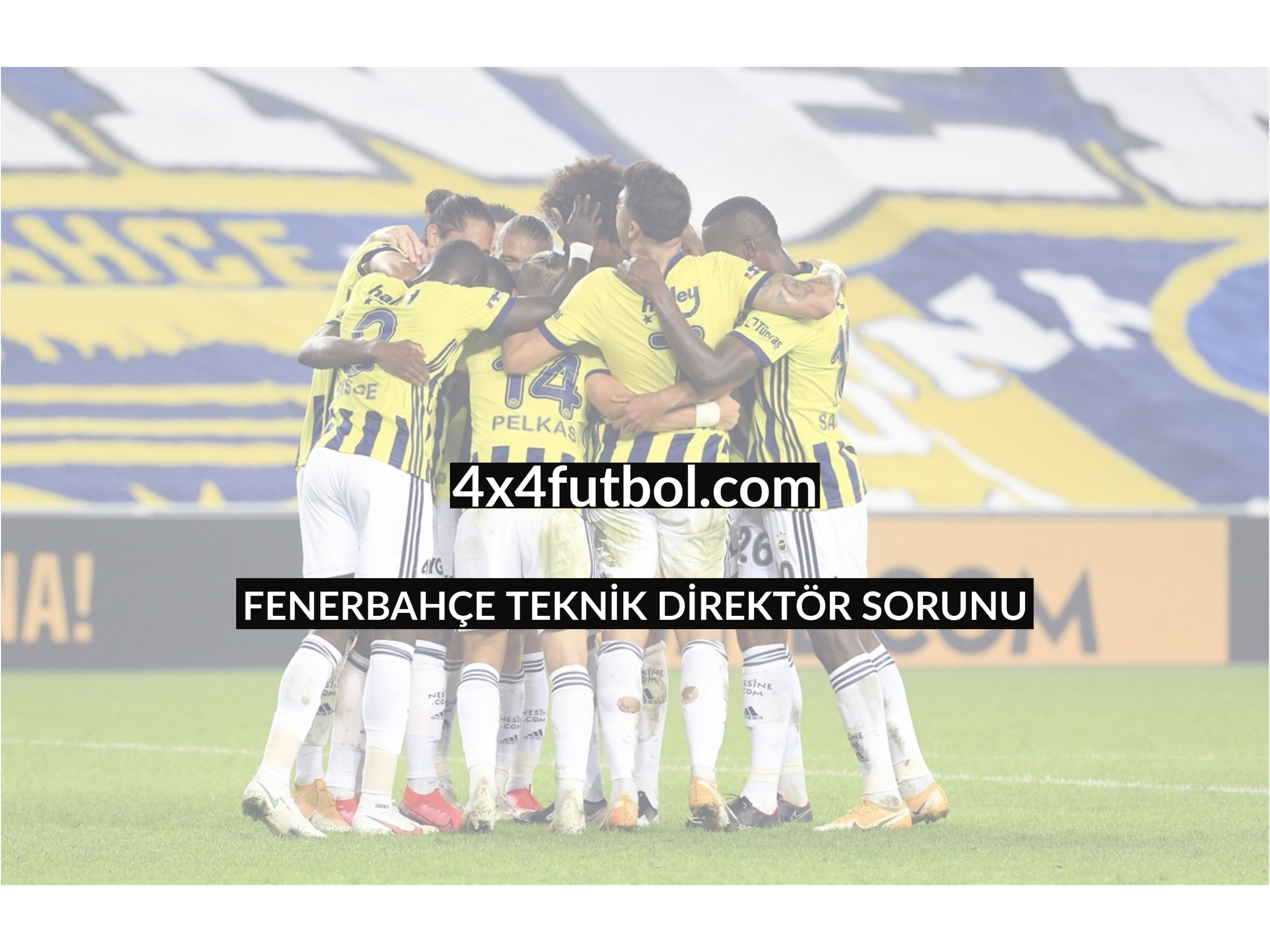 FENERBAHÇE TEKNİK DİREKTÖR SORUNU