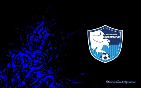 erzurumspor