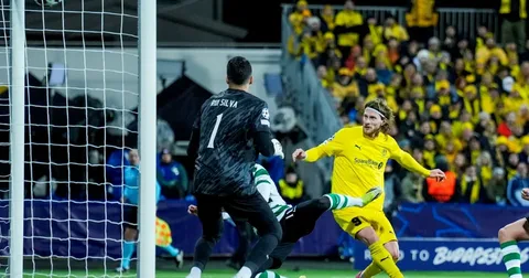 Bodo Glimt’in Son Kurbanı Sporting CP Oldu!