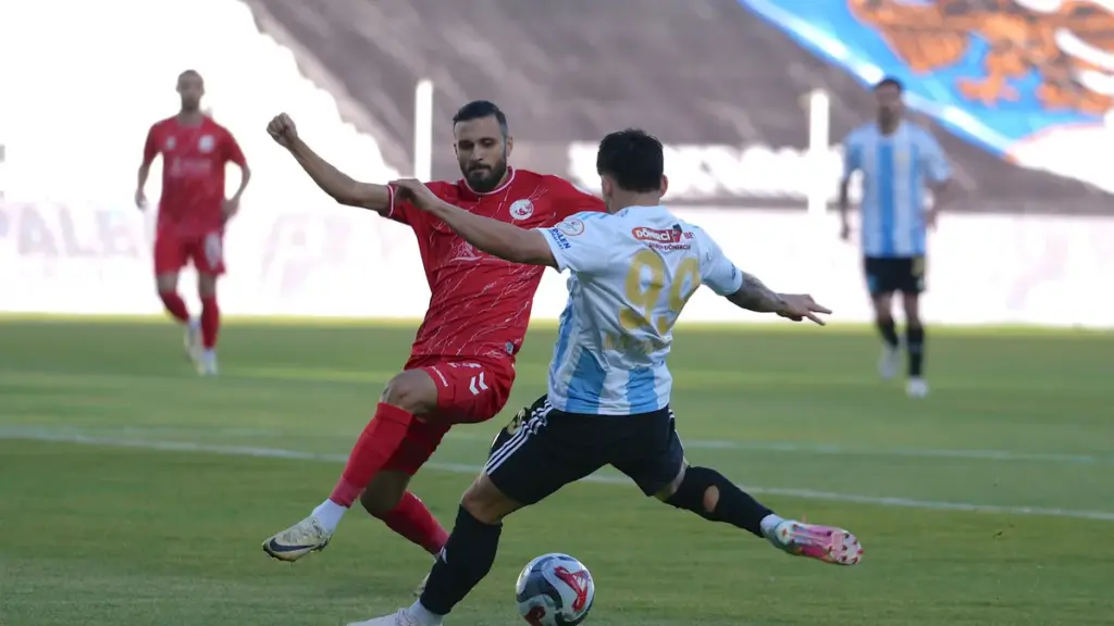 erzurum fk